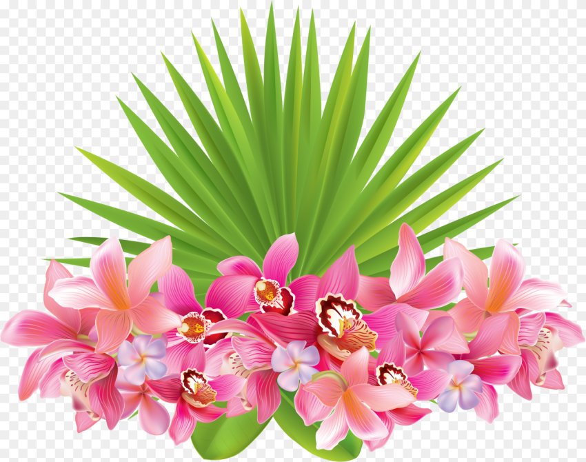 Hawaii Clipart Hawaiian Flower Tropical Flowers  Background