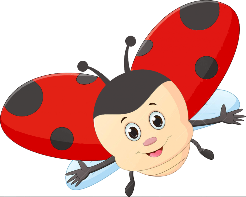 ladybug png clipart