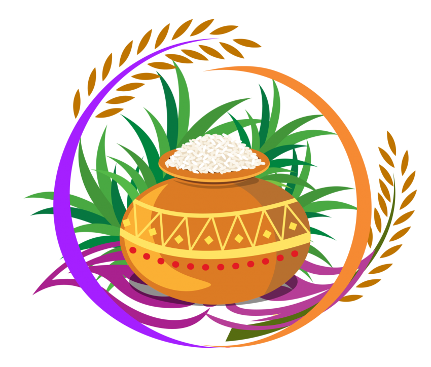 food plant cup pongal png
