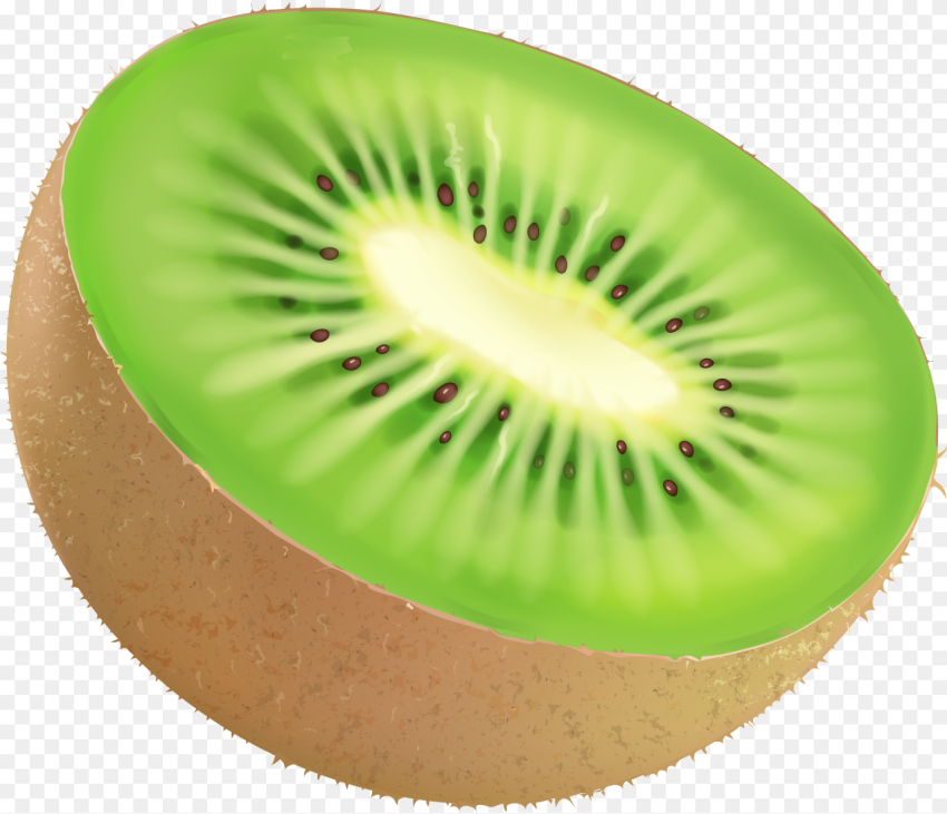 Clip Art Kiwi Fruit Clipart Portable Network Graphics