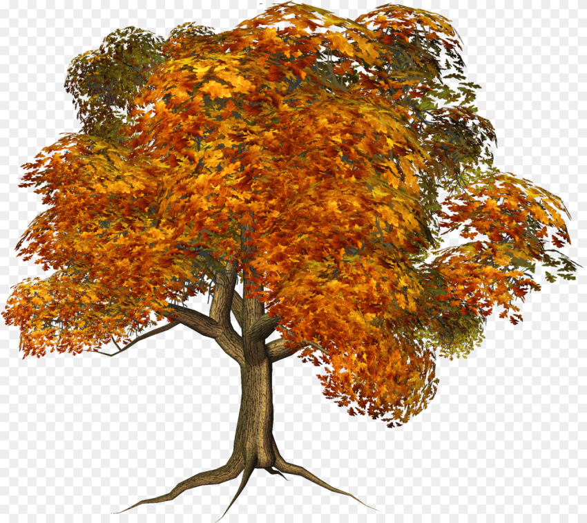 Tree Clipart Clipart Transparent Background Transparent Background Autumn