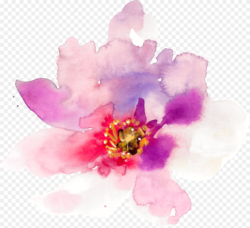 Floral Design Watercolor Painting Spring Flower Watercolor Png