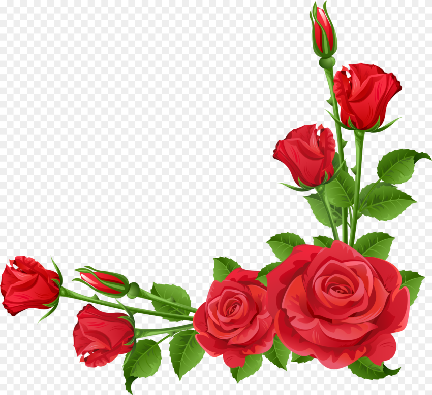Flower Garden Perennial Plant Pixabay Flower Rose Border