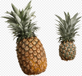 Pineapple Duo Fresh and Canned Pineapple Png HD