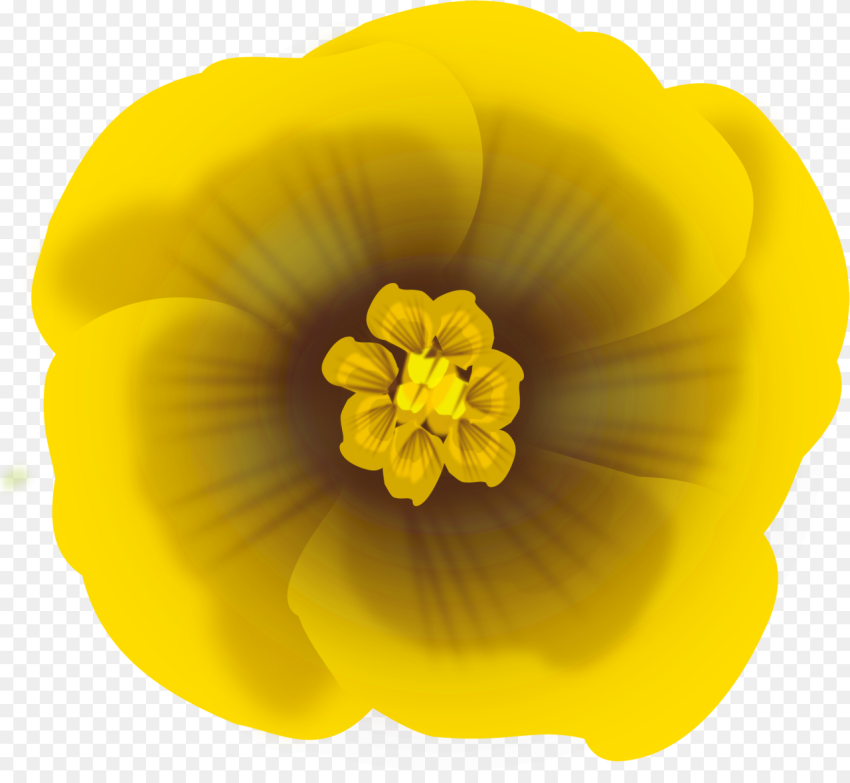 Flower Yellow Icons Png Desenho Flor Amarela Png
