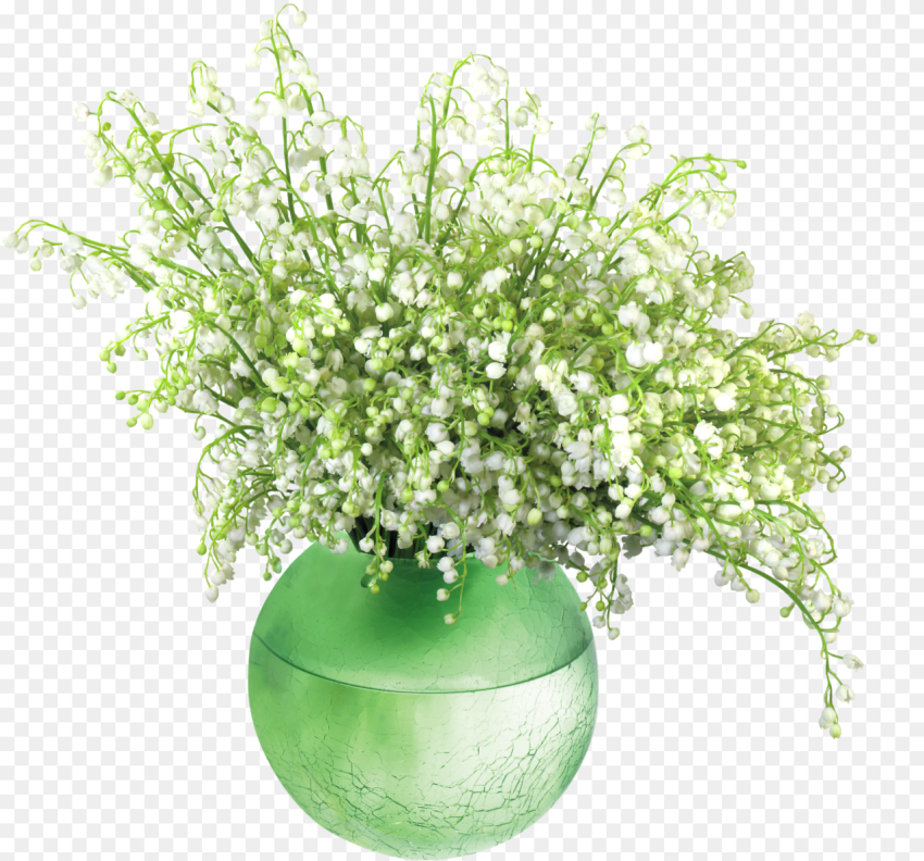 Lily of the Valleyin Vase Png Clip Art