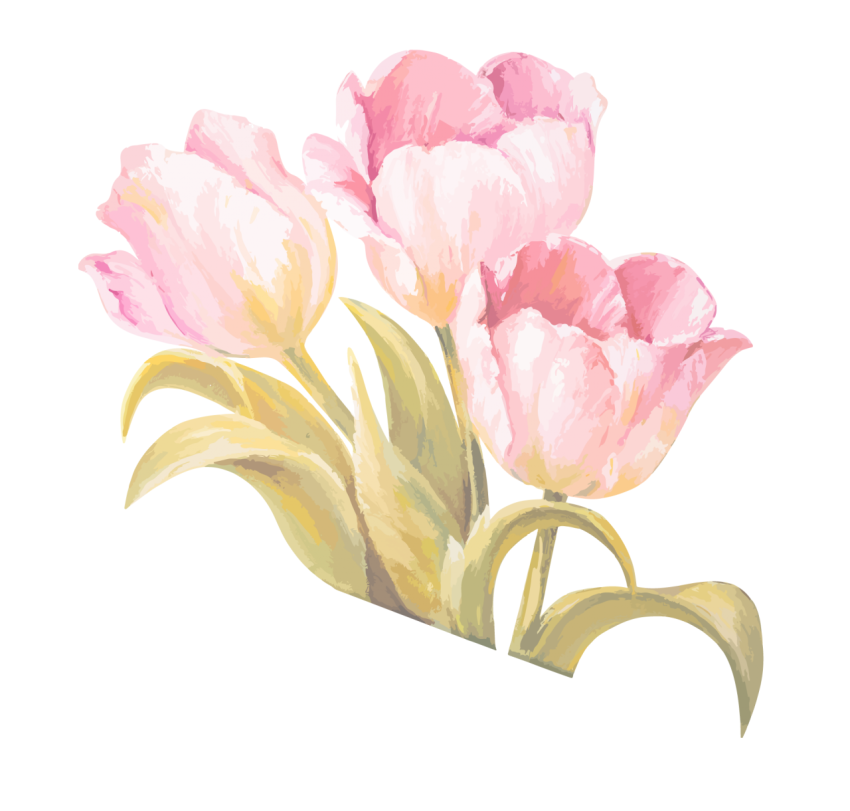 Watercolor Painting  Flower Ribbon - Pink Tulip png