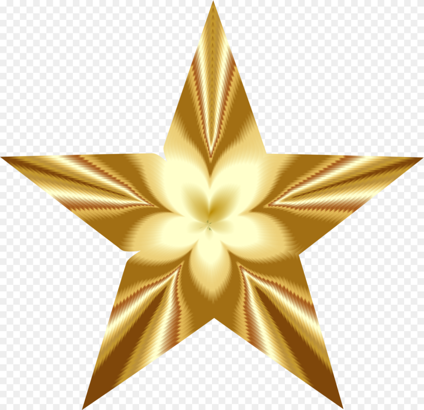 Golden Star Blossom Clip Arts Golden Star Pictures
