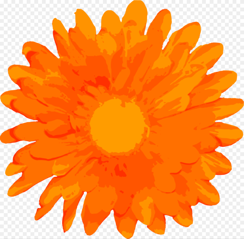 Free Flower Hd Png