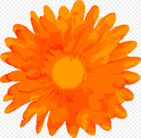 Free Flower Hd Png