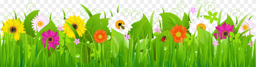 Grass Clipart  Png Grass and Flowers Clipart