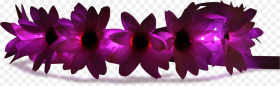 Flower Crowns Png Artificial Flower Png