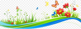 Butterfly Clip Art High Quality Images Borders And