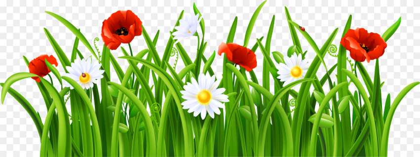 Grass With Flower Clipart Png Flowers and Grass