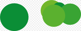 Green Circle Png