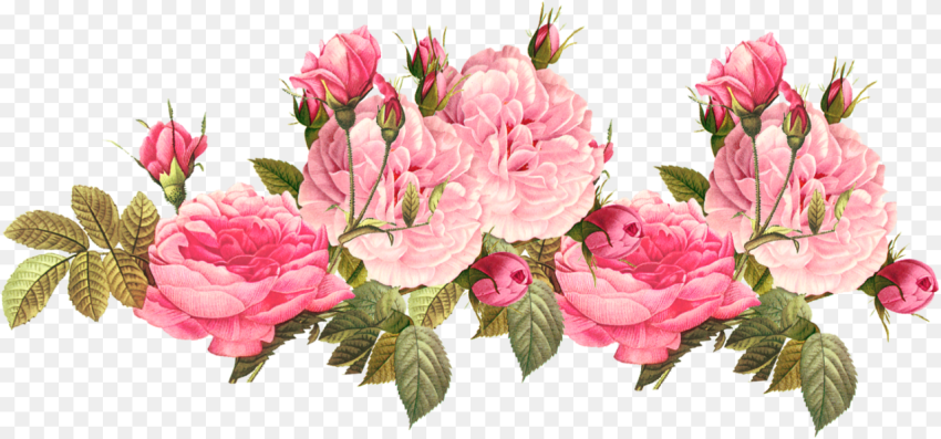 Romantic Pink Flower Border Png Photos Transparent Pink
