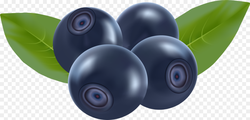 Blueberries Png Clip Art Transparent Background Blueberry Clipart