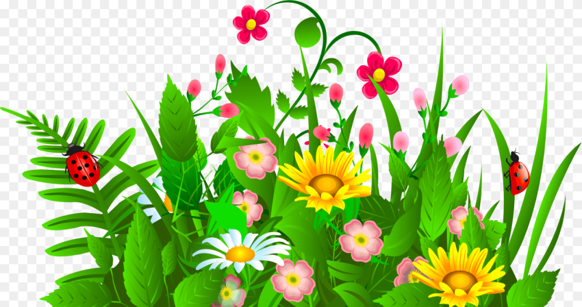 Community Events Calendar Garden Flowers Clipart Hd Png