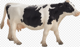 Dairy Cow Png Mojo Holstein Cow Transparent Png
