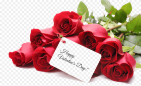 Valentines Day Png Image Happy Valentine Day With