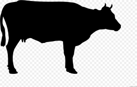 Cow Silhouette Clipart Black and White Cow Png