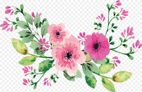 Romantic Transprent  Pink Pink Watercolor Flower Vector