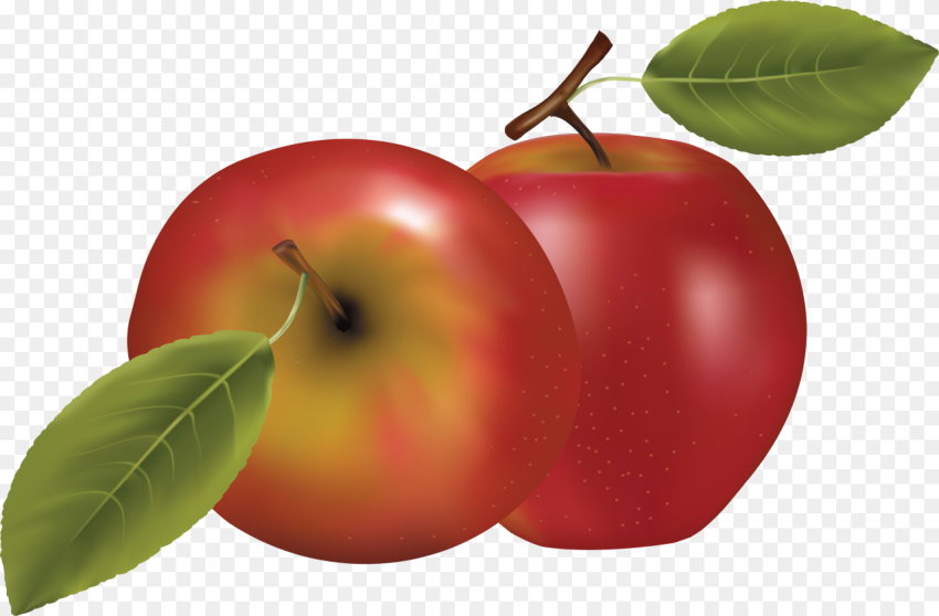 Red Apple Png Transparent Background Apple Clipart Png , Free Png Image-  HubPNG
