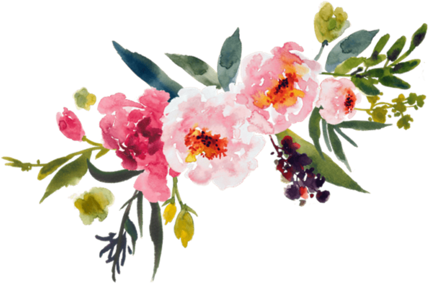 watercolor flower png clipart