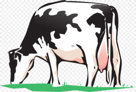 Veterinary Medicine for Cow Cow Grazing Clipart Png