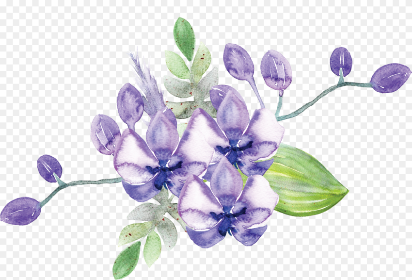 Idignity Seeds of Hope Purple Flower Gentiana Hd