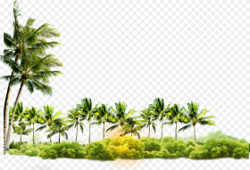 Arecaceae Coconut Tree Icon Free Photo Png Clipart