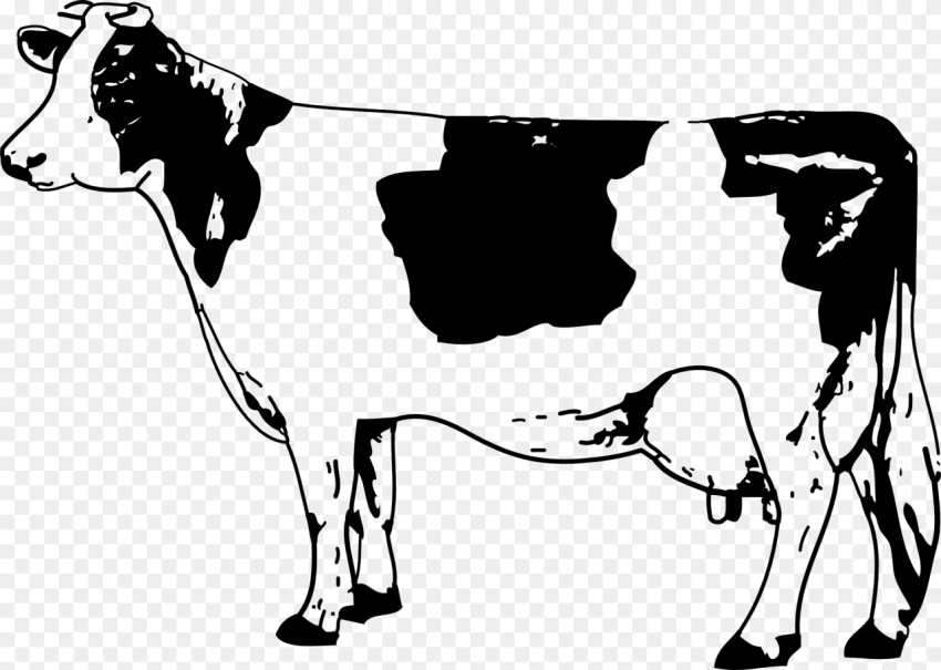 Cow Png Images With Transparent Backgrounds Cow