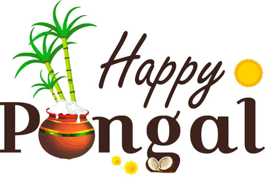 happy pongal png