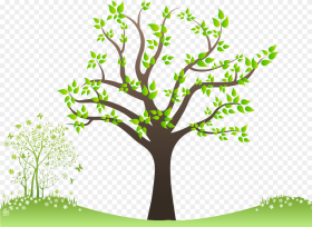 Family Tree Png Free Download Family Tree Images