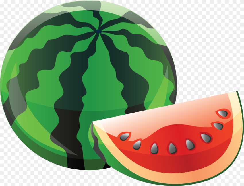 Watermelon Clipart Transparent Background Fruits Name in Sindhi