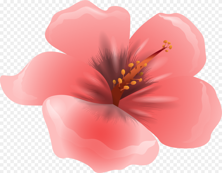 Large Pink Flower Clipart Png Image Pink Flowers