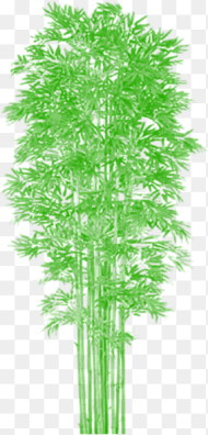 Bamboo Tree Clipart Clip Art Royalty Free Bamboo