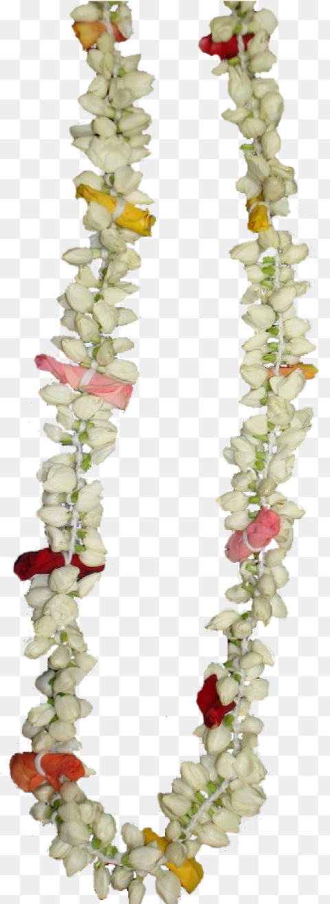 Hindu Wedding Jasmine Transprent Jasmine Flower Garland Png