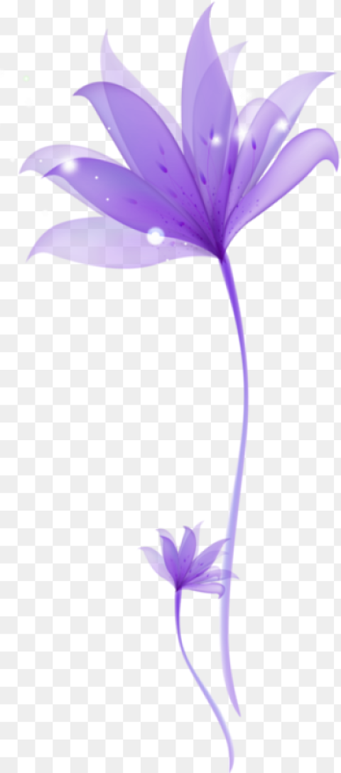 Purple Flower Image  Hd Png