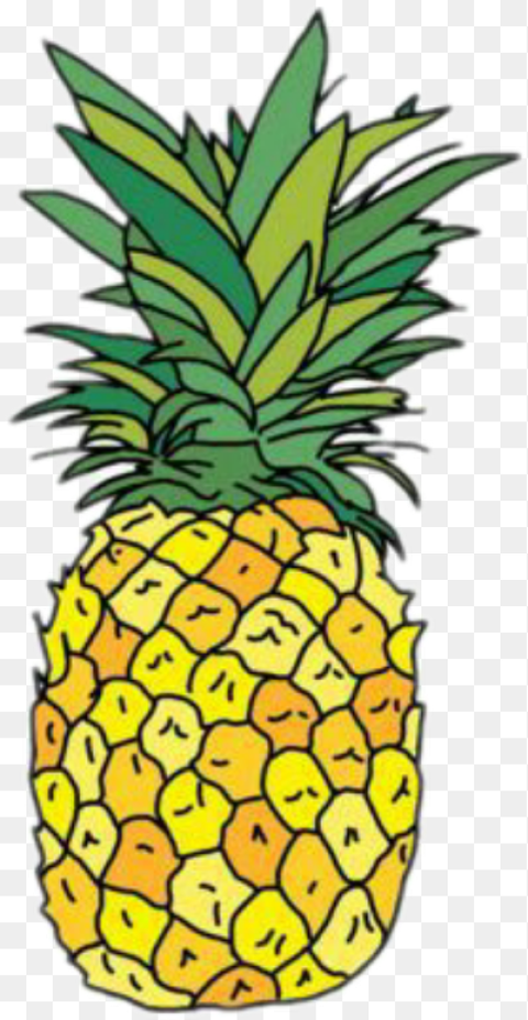 Dailysticker Pineapple Fruits Pineapple Sticker Transparent Background Hd