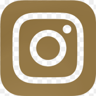 Gold Instagram Logo png  png 