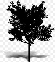 Summer Tree Png Transparent Images Axonometrie Tree Png