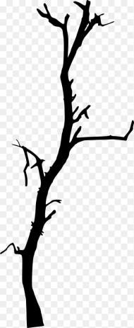 Dead Tree Branch Png Transparent Png