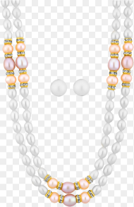 Paparazzi Accessories Pearl Necklace Png