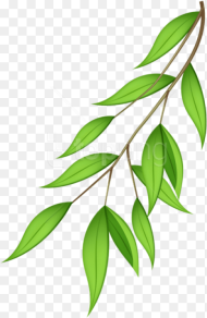 Free Png Download Green Branch Png Images Background