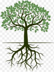 G R Trees Tree With Roots Illustration Hd