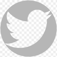 Immagine White Logo Twitter Icon Png Transparent