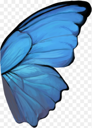 Butterfly Wing Blue Butterfly Wings Png Transparent
