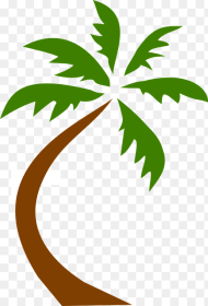 Coconut Tree Tropical Palms Hawaiian Exotic Green Palm