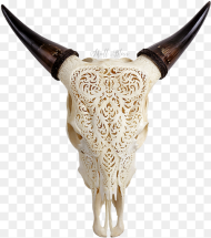 Texas Longhorn English Longhorn Animal Skulls Cow S